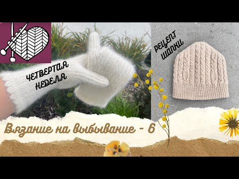 Видео: #внв_6 Четвертая неделя🙌октябрь 2025💕 варежки из собаки. Как связать шапку с аранами. 