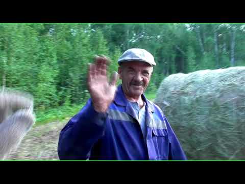 Видео: Как суровые Мужики работают на сенокосе в Сибири у Бажениты