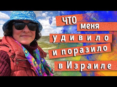 Видео: Впечатления НОВОГО РЕПАТРИАНТА спустя три месяца жизни в ИЗРАИЛЕ