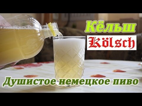 Видео: Кёльш.  Душистое немецкое пиво.   Kölsch