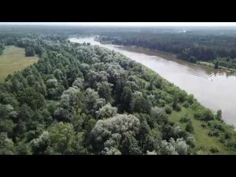 Видео: р.Неман. Дашковцы-устье р.Щара. Гродненская обл. Мостовской р-н.