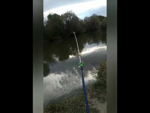 Видео: Просто рыбалка Река Турунчук Беляевка