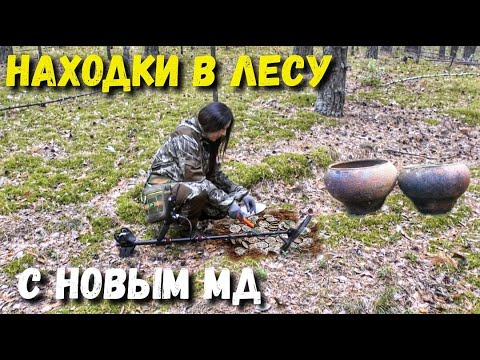 Видео: ДАЛ ЖАРУ НОВЫЙ МЕТАЛЛОИСКАТЕЛЬ. ОТПРАВИЛАСЬ ЗА КЛАДОМ В ЛЕС