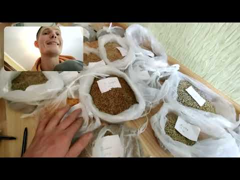 Видео: Насіння яке не підведе на весні. Розсада овочів вигідно але потрібні знання.