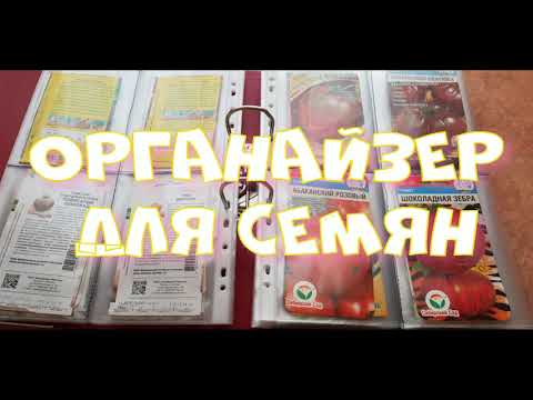 Видео: ЛАЙФХАК. ОРГАНАЙЗЕР ДЛЯ СЕМЯН.