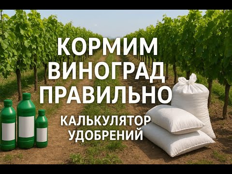 Видео: Агроном раскрывает формулу питания винограда.  Калькулятор удобрений
