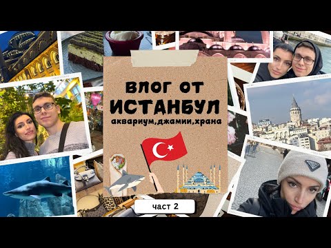 Видео: Влог от ИСТАНБУЛ и покупки от Турция | аквариум, ресторанти и гледки | ЧАСТ 2