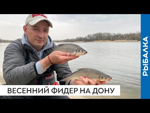 Видео: Весенняя рыбалка на фидер на реке Дон