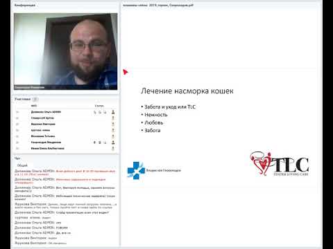 Видео: Поражения глаз и носа кошек. Герпесвирус кошек = ринотрахеит кошек. Скороходов Владислав. 31 05 2019