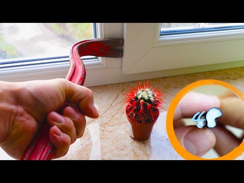 Видео: КАК  Заменить Уплотнитель на Окнах! Вот в чем разница?!