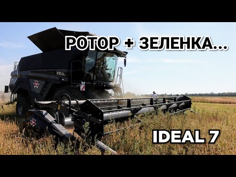 Видео: Роторный комбайн Massey Ferguson IDEAL 7. Первая демонстрация в зеленке! Круче CASE?