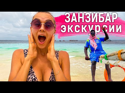Видео: Занзибар - экскурсии и отдых на Занзибаре. Blue Safari - стоит ли ехать?