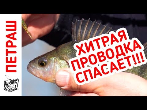 Видео: Рыбалка! На эту ПРОВОДКУ поймал МНОГО окуня! Микроджиг для новичка