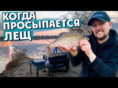 Видео: Главный секрет успенной ловли леща на фидер. Лещ на фидер весной.