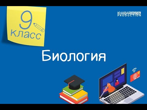 Видео: Биология. 9 класс. Анаэробное и аэробное дыхание /17.11.2020/