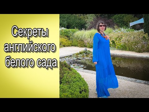 Видео: Vlog 477 - Обзор монохромного сада и его перемены в течение лета