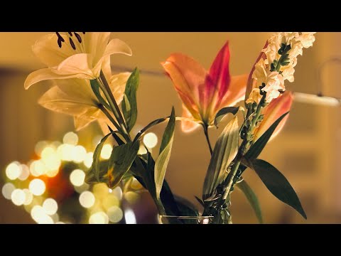 Видео: Студия Ольги Кондратовой в прямом эфире!