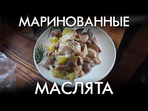 Видео: МАРИНОВАННЫЕ МАСЛЯТА