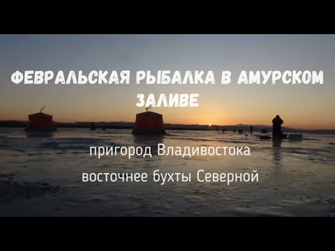 Видео: рыбалка в феврале в Амурском заливе напротив Северной бухты