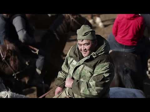 Видео: АЛАМАН УЛАК. ТАШИЕВ. БАРПЫ 08 02 2020