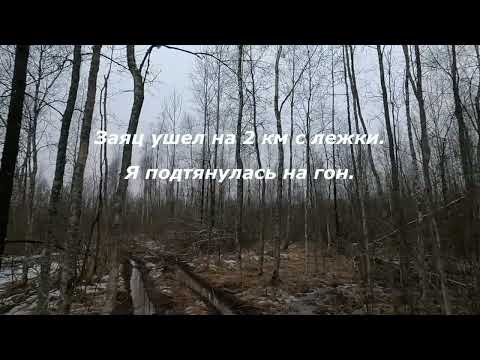 Видео: Охота с Добычем. 15 й!