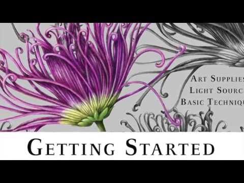 Видео: Начало работы с ботаническим рисунком