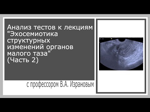 Видео: Анализ тестов к лекциям Эхосемиотика структурных изменений органов малого таза Часть 2