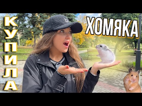 Видео: Купила хомяка🐹💕реакция собак🫣обустраиваю клетку🏠