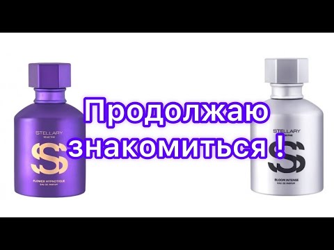 Видео: Покупка в Магнит Косметик. Пополнение коллекции Stellary Selective. И несколько слов о хейтерах.