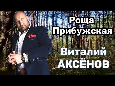 Видео: Роща Прибужская - Виталий Аксёнов | Эта песня согреет вам душу!