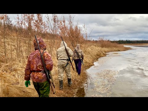 Видео: ЗЛОЙ ГОЛОДНЫЙ И С КОГТЯМИ