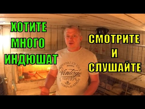 Видео: Много Индюшат без Затрат ПОСЛЕДОВАТЕЛЬНАЯ ИНКУБАЦИЯ ИНДЮШИНЫХ  ЯИЦ  Зауральское подворье