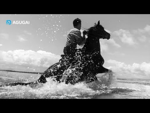 Видео: Бахыт Алтай - Шаба түс, Шабандоз