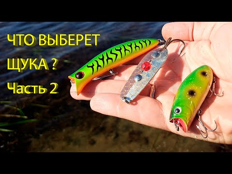 Видео: 🔥 ВОБЛЕР или БЛЕСНА (часть 2)? Что выберет щука в сентябре? Lucky Craft Malas, Ima Komomo-II и др. 🔥