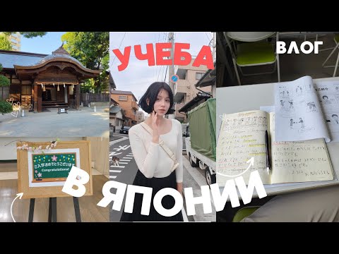 Видео: Поступила в ЯПОНСКУЮ ШКОЛУ: Распределительный тест, Макдональдс и мои впечатления