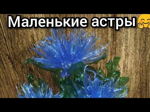 Видео: Игольчатые астры в вазу из ПЭТ бутылок