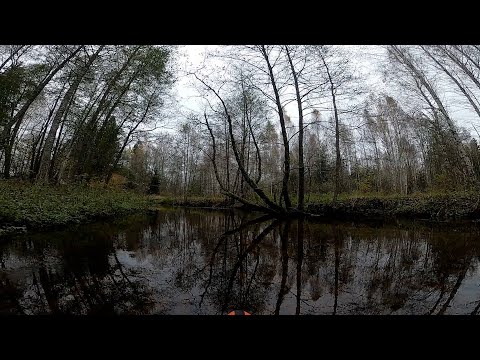 Видео: Одиночный сплав по реке Уса Налибокская