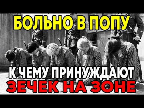 Видео: Что делают с красивыми ЗЕЧКАМИ на ЗОНЕ ? Запретная правда!