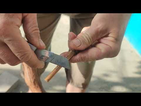 Видео: Прививка винограда на старый куст новым способом.