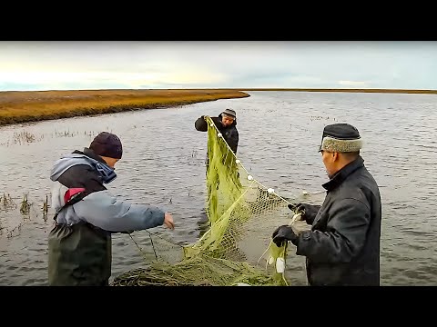 Видео: За карским омулем. Часть 1 | С полем!