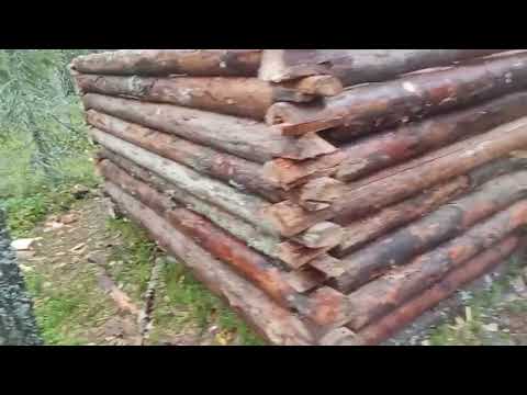 Видео: ВЫЖИВАНИЕ В ДИКОЙ ТАЙГЕ / СТРОЙКА ЗИМОВЬЯ / СЛОМАЛАСЬ ПИЛА / ЕДУ ДОМОЙ НА ПОБЫВКУ / ДЕНЬ 7.