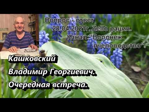 Видео: Кашковский Владимир Георгиевич. Эфир  28. 04. 2021г.