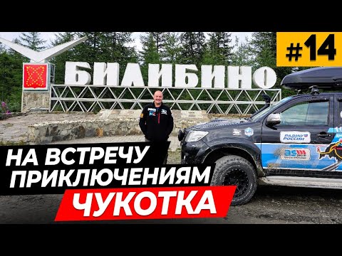 Видео: Билибино \ Еду по просторам Чукотки \ Встреча с медведем и оленями \ Случайный выстрел  #14