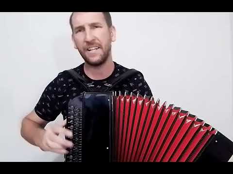 Видео: к БАТЕ на гармони