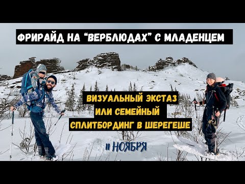 Видео: Шерегеш, сплитбординг с моим маленьким сыном, женой и собакой.