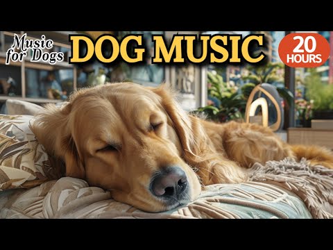 Видео: 24 часа успока-ивающей музыки для собак🐶💖Музыка для снятия стресса у собак🦮🎵Расслабляет