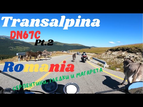 Видео: Трансалпина, Румъния | Transalpina Road,  Romania | 2024 | Suzuki Bandit 600 [Raw] - Pt.2