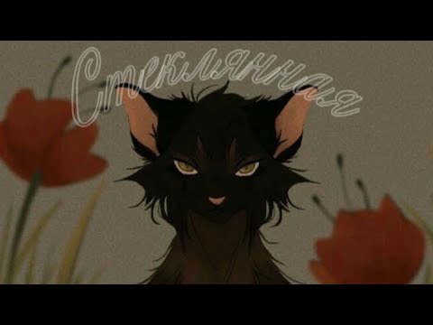 Видео: ~Клип: Остролистая (коты-воители) Стеклянная [Guma]~