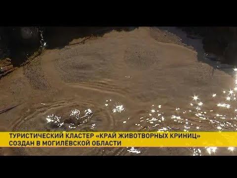 Видео: «Край животворных криниц» под Могилёвом