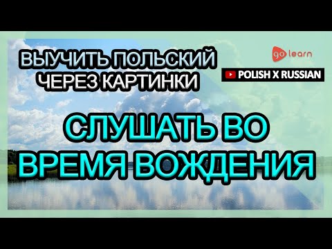 Видео: Выучить польский через картинки |польский словарь слушать во время вождения | Golearn